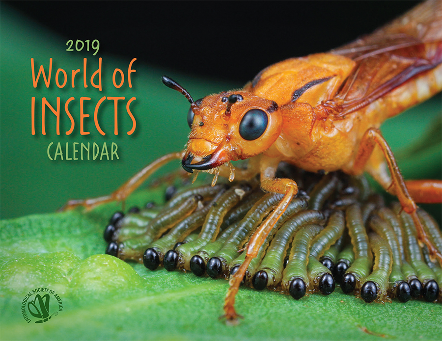 World of Insects Calendar Entomological Society of America